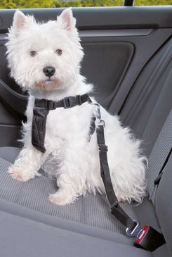 Postroj pes Bezpečnostní do auta XS Trixie Trixie GmbH a Co.KG