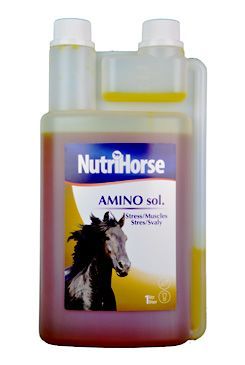 Nutri Horse Amino sol. 1000ml Canvit s.r.o.